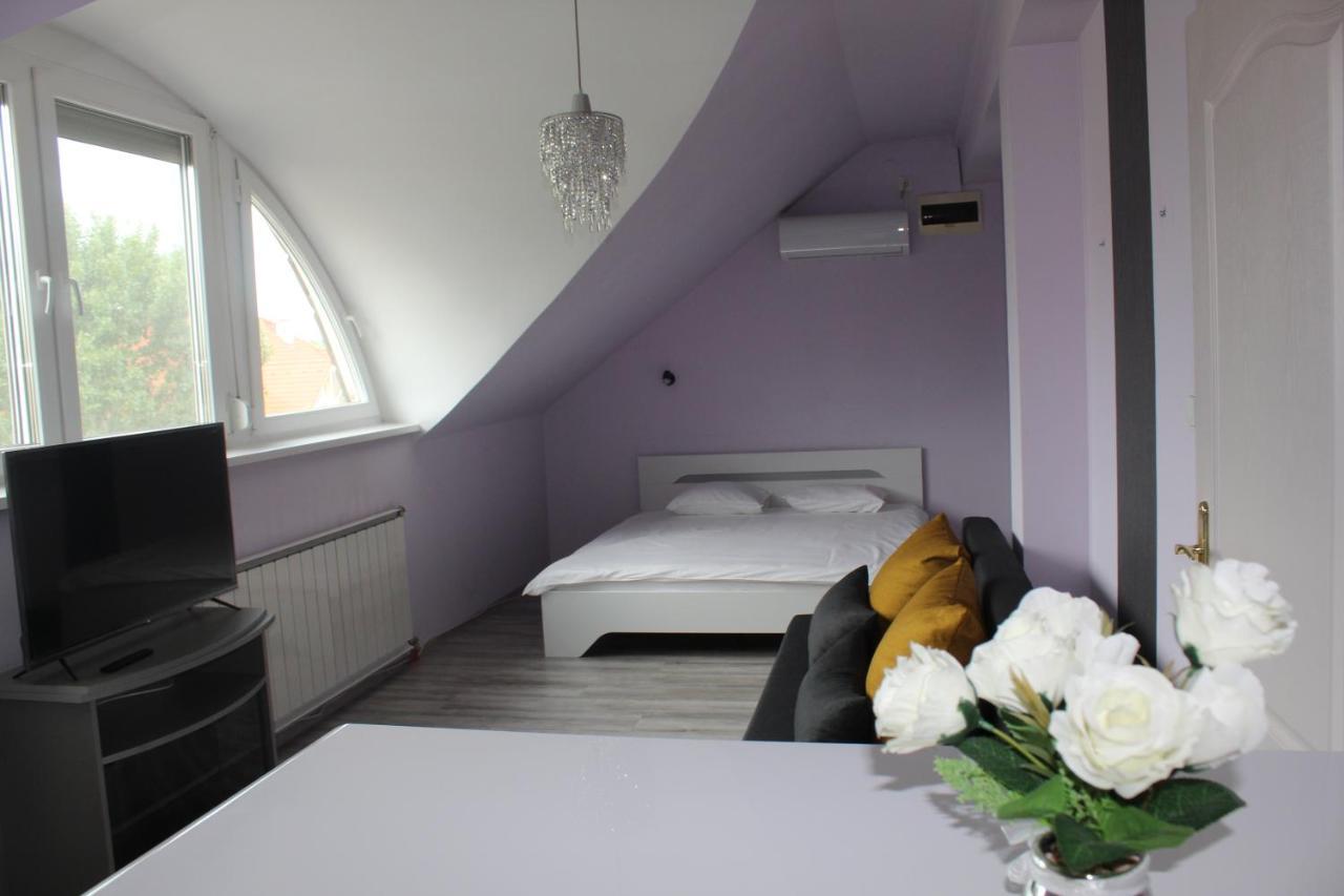 Sunny House Apartman سيغيد المظهر الخارجي الصورة